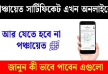 Panchayat Certificate Apply Online 2025